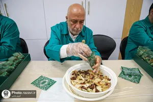 بازدید