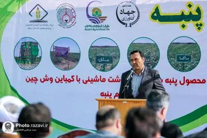 نشست مدیران و فعالان صنعت پنبه کشور