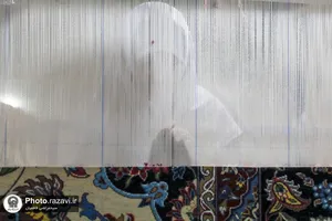بازدید کارکنان حرم مطهر از شرکت فرش آستان قدس رضوی