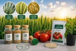 ثبت نهایی سه رقم جدید زراعی با نام آستان قدس رضوی در ۱۴۰۵