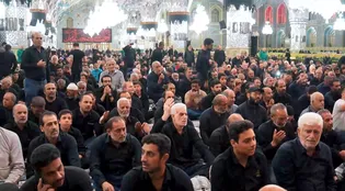 صبحگاه شهادت خورشید هشتم،حریم رضوی پناه دلدادگان است