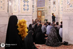 کاور
