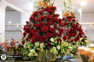 آماده&zwnj;سازی گل&zwnj;های حرم مطهر رضوی در دهه کرامت