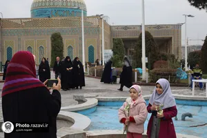 توزیع گل نرگس در چایخانه حرم مطهر رضوی