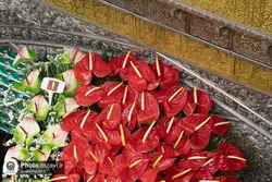 برگزاری جشن بزرگ "مثل ستاره" بمناسبت دهه کرامت با حضور خدام رضوی/ کلیپ