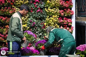 خادمان بارگاه منور رضوی