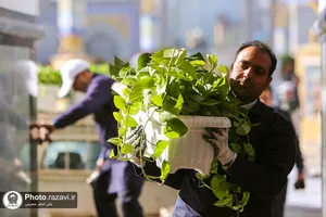گل آرایی رواق امام خمینی(ره) حرم مطهر رضوی