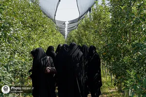 بازدید کارکنان آستان قدس رضوی از مزرعه نمونه