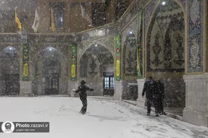 بارش برف پاییزی در حرم مطهر رضوی