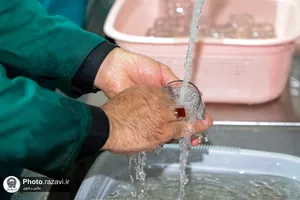 حضور خدمتگذاران کانون فرهنگی حضرت جوادالائمه(علیه&zwnj;السلام) در چایخانه حضرت