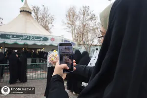 توزیع گل نرگس در چایخانه حرم مطهر رضوی