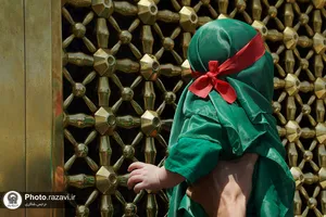 آیین معنوی &laquo;شیرخوارگان حسینی&raquo; در حرم مطهر رضوی