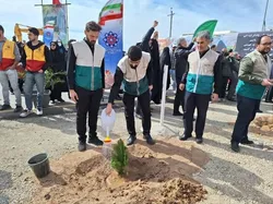 ساوه به یاد «باغبان انقلاب» به پویش ملی «سرو ایران» پیوست