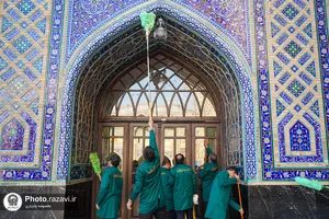 طهور رضوی