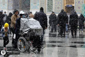 بارش برف در حرم مطهر رضوی