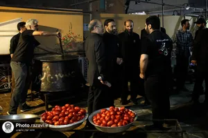 بازدید قائم مقام تولیت آستان قدس رضوی از خدمت&zwnj;رسانی مواکب اطراف حرم