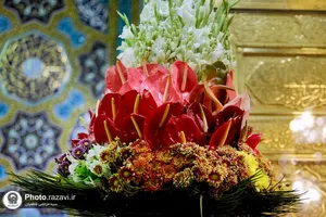 گل آرایی ضریح مطهر امام رضا (ع) به&zwnj;مناسبت اعیاد شعبانیه