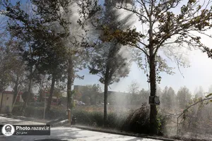 مانور مشترک اطفاء حریق در شرکت صنایع غذایی رضوی