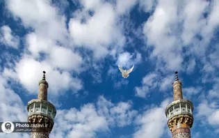 عکس با کیفیت: پرواز کبوتر بر فراز صحن گوهرشاد حرم مطهر رضوی