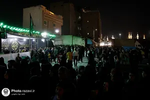 بازدید قائم مقام تولیت آستان قدس رضوی از خدمت&zwnj;رسانی مواکب اطراف حرم
