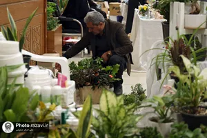نمایشگاه سرای خاتون