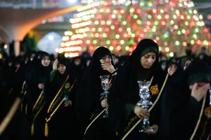 لاله&zwnj;گردانی خادم&zwnj;یاران فارس در سوگ امام رضا (ع) + تصاویر