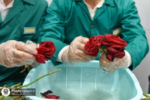 افتتاح مرکز جدید شمیم رضوان
