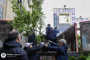 ورود کاروان گل&zwnj;های اهدایی به حرم مطهر رضوی