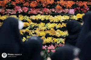 گل آرایی حرم مطهر رضوی در دهه کرامت