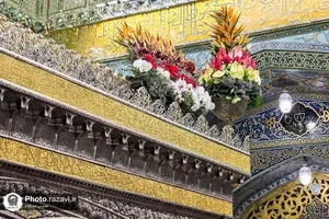 گل&zwnj;آرایی ضریح مطهر رضوی به مناسبت اعیاد شعبانیه