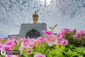 قطعه&zwnj;ای از بهشت؛ صحن جمهوری