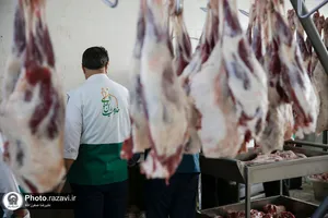 بسته&zwnj;بندی و توزیع گوشت به مناسبت نیمه شعبان