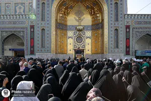 عزاداری هیئت عالم آل محمد علیه&zwnj;السلام در دهه پایانی ماه صفر