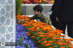 اردیبهشت در این قطعه از بهشت