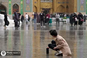 بارش باران بهاری در حرم مطهر رضوی