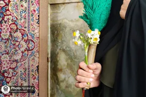 دال مثل دست