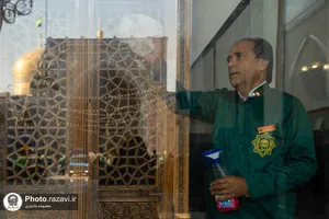 طهور رضوی