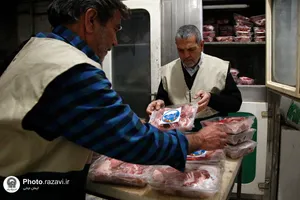 توزیع گوشت قربانی بین دانش آموزان حاشیه شهر مشهد