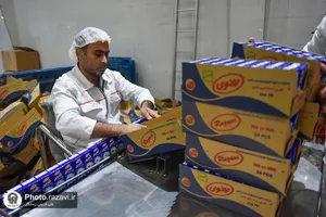 بازدید کارکنان آستان قدس از مجتمع لبنی رضوی