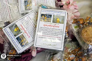 اهدا بسته&zwnj;های متبرک رضوی به دختران زائر امام رضا(علیه&zwnj;السلام)