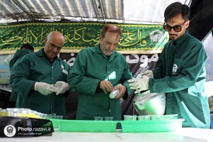 مواکب خدمت&zwnj;رسان به زائرین در دهه آخر صفر