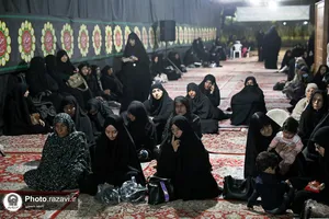 اسکان زائرین حضرت رضا علیه&zwnj;السلام در طرح دارالکرامه - باغ خاتون