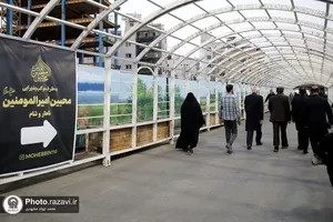 بازدید قائم مقام تولیت آستان قدس رضوی از خدمت&zwnj;رسانی مواکب اطراف حرم