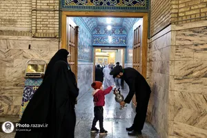 حال و هوای حرم مطهر رضوی در ایام میلاد امیرالمومنین علیه السلام