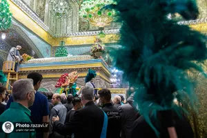 گل&zwnj;آرایی ضریح مطهر رضوی در آستانه ولادت امام رضا علیه&zwnj;السلام