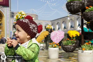 گل&zwnj;آرایی حرم مطهر رضوی در آستانه نیمه شعبان