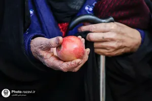 پذیرایی خادمیاران استان آذربایجان غربی از زائرین حرم مطهر رضوی