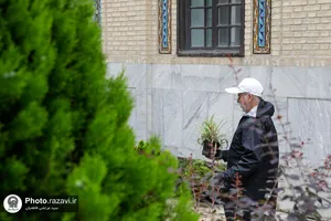 ورود کاروان گل&zwnj;های اهدایی به حرم مطهر رضوی