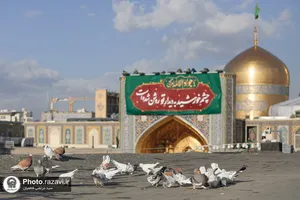  نصب کتیبه&zwnj;های ولادت جوادالائمه در حرم مطهر رضوی 