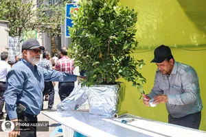 جشن بزرگ امام رضایی&zwnj;ها - 1